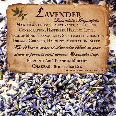Lavender in spells and rituals